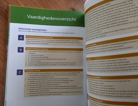 Vaardigheden en identiteit